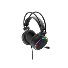 Auriculares Gaming Genesis Neon 613 2.0 Rgb Negros