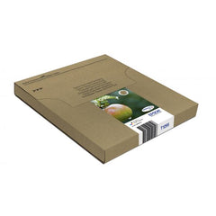 Epson Apple Multipack 4-colours T129 EasyMail